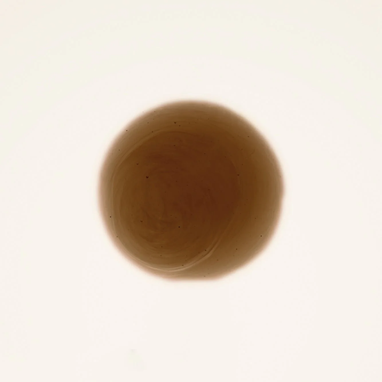 Latte Sample - Image 4